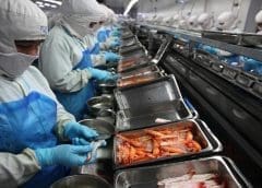 Thumbnail for Federal Appeals Court upholds USDA organic certification for hydroponic crops