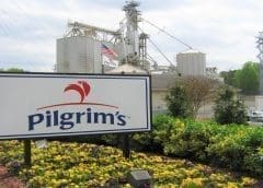 Thumbnail for Kenya registers boom in fish exports as China firms its position as country’s top supplier