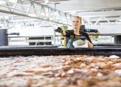 Thumbnail for #Dairy Innovation Monday: New launches from Godrej Jersey, Bareballs, Vitasoy, Van Leeuwen Ice Cream, Cathedral City