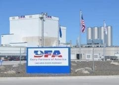 Thumbnail for Beam Suntory commits US$400m to Kentucky distillery to increase capacity and sustainability