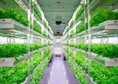 Thumbnail for Thailand invests in food-tech start-ups in hopes to become the next “food-tech Silicon Valley”