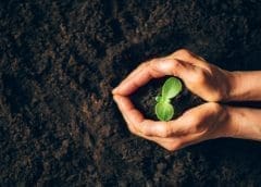 Thumbnail for Crespeo joins campaign for circular agri-food supply chain