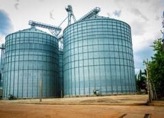 Thumbnail for IFC extends Nigeria US$4.5m to finance animal feed development