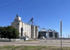 Thumbnail for Voff acquires Nova Dog Chews strengthening its position in the European market