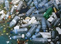 Thumbnail for Britannia appoints Rajneet Kohli as CEO and executive director