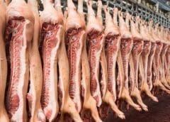 Thumbnail for EU bans the use of titanium dioxide prompting firms to innovate alternative options