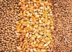 Thumbnail for Soybean farmers pledge US$900,000 to AGP terminal expansion project