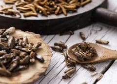 Thumbnail for Modern Mills to set up $40 m flour mill in Liberia