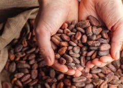 Thumbnail for Kenyan Governors lead efforts to revive sugar industry