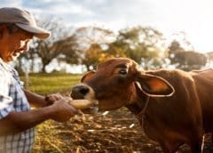 Thumbnail for Reliance Group acquires Camba soft drink brand to mark entrance into FMCG segment in India