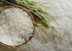 Thumbnail for Innovafeed secures US$250m funding to accelerate international expansion