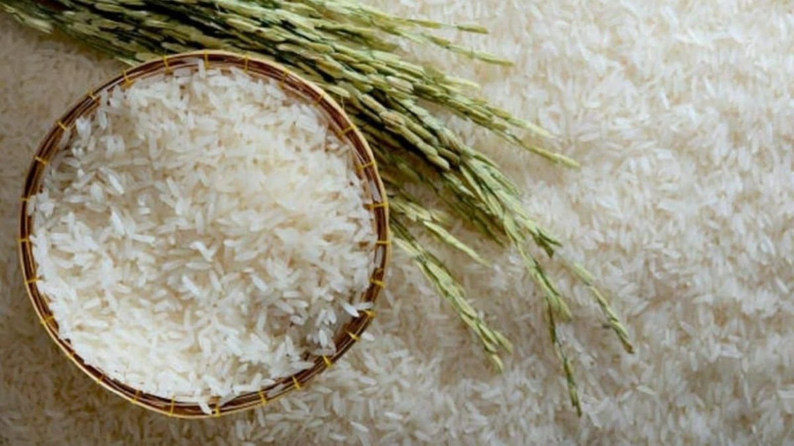 Thumbnail for <strong>Long rice to become a scarce commodity as from December as severe drought impacts production</strong>