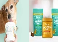 Thumbnail for GRDC to invest US$20M ramping up Australia’s research capacity