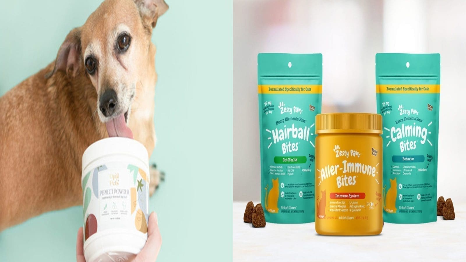 Thumbnail for Opal Pets, Zesty Paws launch pet supplements