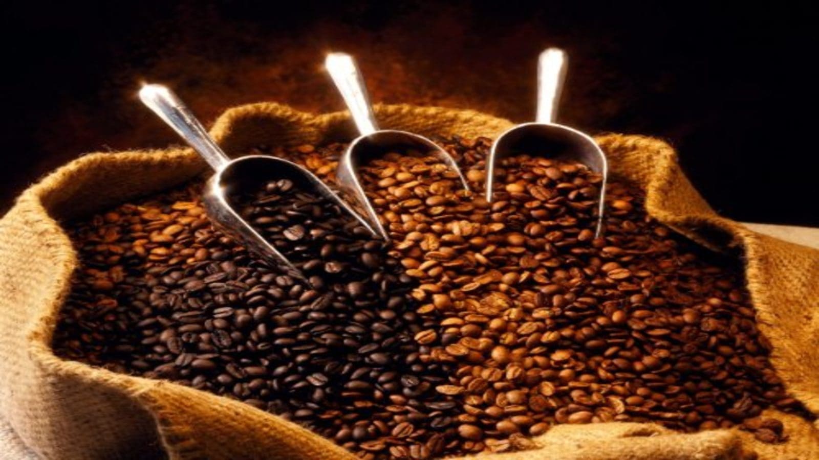 Thumbnail for Uganda coffee exports dip 29% in August on impact of drought
