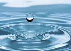 Thumbnail for Retail giant Kroger introduces low-cost food brand as a part of revised store brand strategy