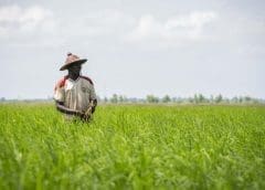 Thumbnail for Kerry Group posts 16.1% revenue growth in Q3 of 2022 despite increased product pricing