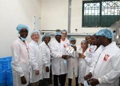 Thumbnail for KALRO to distribute GM maize seeds to farmers in 2023