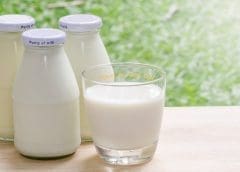 Thumbnail for Kenya Ministry of Agriculture and Livestock develops new regulations in livestock industry