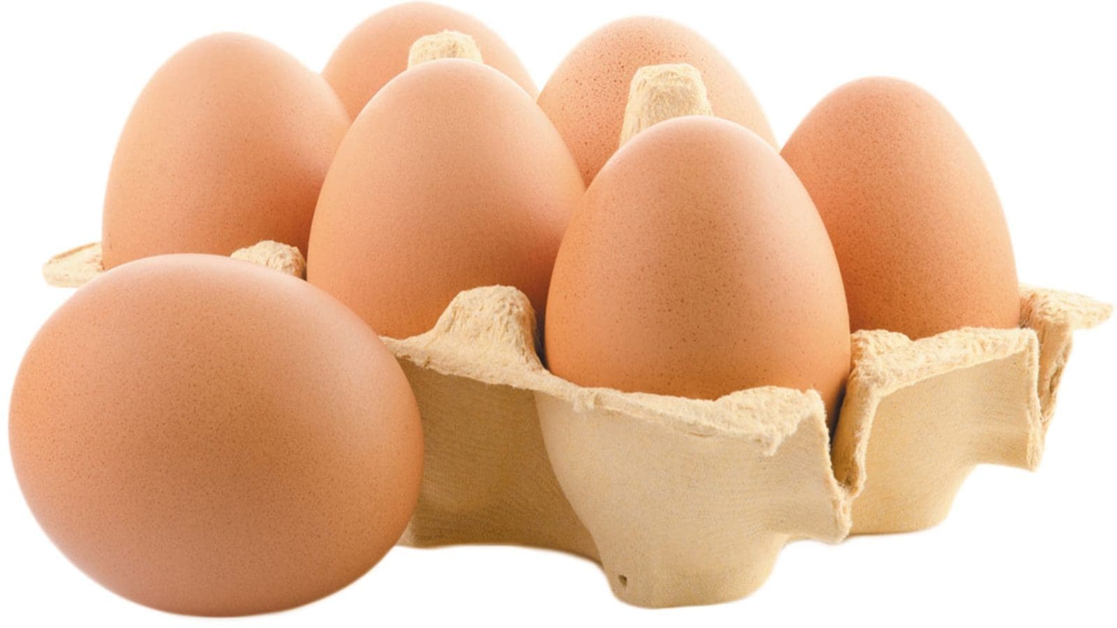 Thumbnail for Eggflation will persist through 2023: Rabobank report