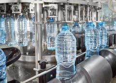 Thumbnail for Infinite Roots launches mycelium-based meat products in South Korea