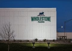 Thumbnail for Cauli launches CauliCups, replacements for conventional single-use coffee cups