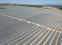 Thumbnail for AB InBev’s beer from Western Europe to be brewed using 100 percent renewable electricity