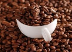 Thumbnail for Shift to meat, milk alternatives could cut food system emissions by a third, study finds