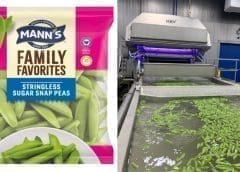 Thumbnail for #SoberThursday: New beverage products from Kellogg, Peroni, Red Bull, Hrbvor, ISH, Fever Tree