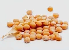 Thumbnail for Roquette launches organic pea ingredients as Ingredion plans to measure ingredient sustainability