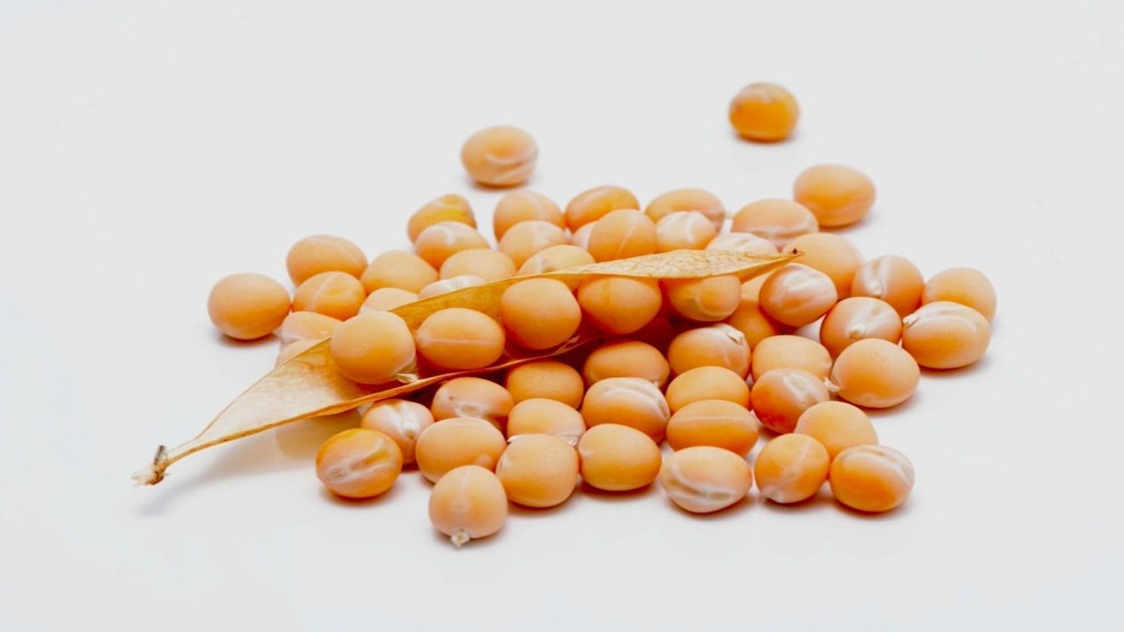 Thumbnail for Roquette launches organic pea ingredients as Ingredion plans to measure ingredient sustainability