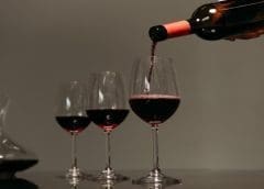 Thumbnail for Novel Foods Group invests US$500M in UAE biotech production hub 