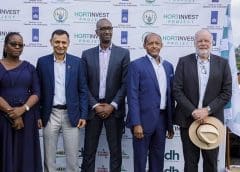 Thumbnail for Rwanda partners with Netherlands to undertake inaugural shipment of avocados by sea to Dubai