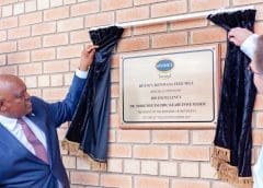 Thumbnail for EU compound feed production to shrink by 5M tonnes due to heard size reductions, diseases