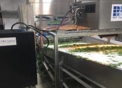 Thumbnail for <strong>African Distillers Limited registers 48% growth in revenue amid tough operating environment</strong>