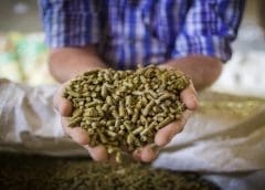 Thumbnail for RFG Holdings reports bullish top-line, bottom-line performance benefitting from international business