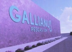 Thumbnail for <strong>SAB, AB InBev Foundation alongside other partners curb alcohol abuse with evidence-based program SBI</strong>