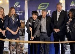 Thumbnail for <strong>Tetra Pak inks US$2.5M deal with Uniboard for beverage carton recycling project in Egypt</strong>