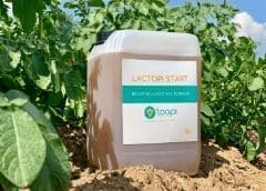 Thumbnail for <strong>Brazil grain, fertilizer trade resumes as week-long protests blocking roads lose steam</strong>