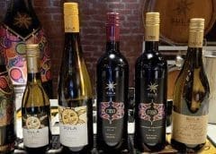 Thumbnail for Egypt successfully strikes Agri-trade agreement with the Philippines