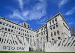 Thumbnail for Kenya becomes first African nation to introduce and adopt electronic phytosanitary certification