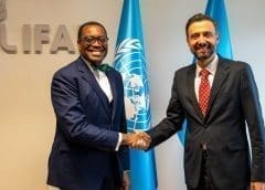 Thumbnail for Taking serious cassava value addition to alleviate overreliance on wheat