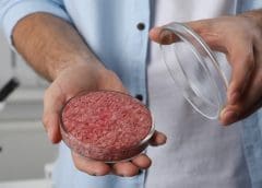 Thumbnail for JBS to acquire assets from TriOak Foods to strengthen control over the supply chain