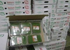 Thumbnail for <strong>Unga Group undergoes restructuring, company CEO takes up more roles</strong>