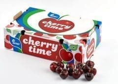 Thumbnail for Egypt successfully strikes Agri-trade agreement with the Philippines