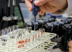 Thumbnail for Taking serious cassava value addition to alleviate overreliance on wheat