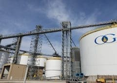 Thumbnail for Shoprite adds glow-in-the-dark heavy-duty electric truck to its fleet