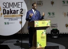 Thumbnail for Tanzania sets aside 65,215ha for dairy industry development, urges youth to venture into livestock keeping