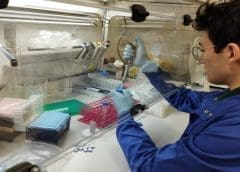 Thumbnail for <strong>Vall Companys attains full ownership of Spanish pork producer Embutidos Rodríguez</strong>