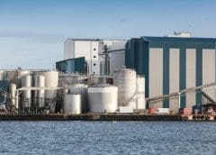 Thumbnail for Oatly adopts asset-light strategy in US, expands Sweden retail partnership with Retain